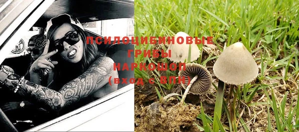 наркотики Алексин